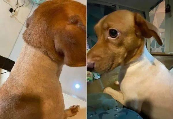 老二狗的外婆爆料视频下载  第3张